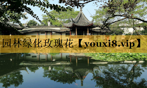 园林绿化玫瑰花