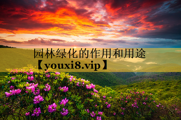 园林绿化的作用和用途