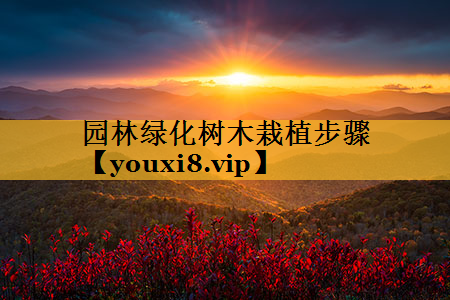 园林绿化树木栽植步骤