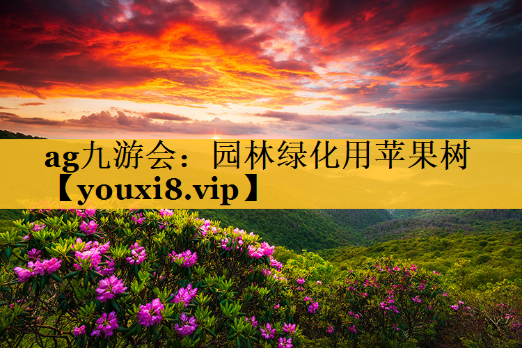 园林绿化用苹果树