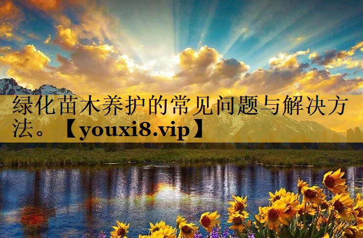 绿化苗木养护的常见问题与解决方法。