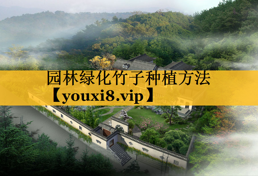 园林绿化竹子种植方法